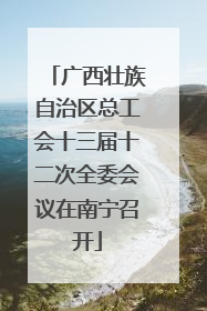 广西壮族自治区总工会十三届十二次全委会议在南宁召开