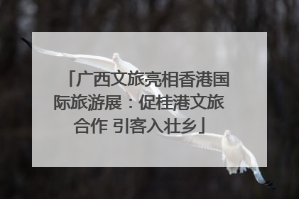 广西文旅亮相香港国际旅游展：促桂港文旅合作 引客入壮乡