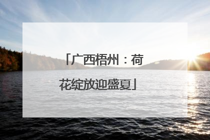 广西梧州：荷花绽放迎盛夏