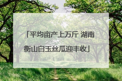 平均亩产上万斤 湖南衡山白玉丝瓜迎丰收