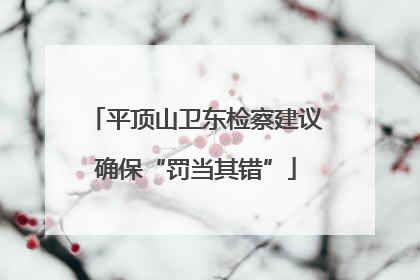 平顶山卫东检察建议确保“罚当其错”