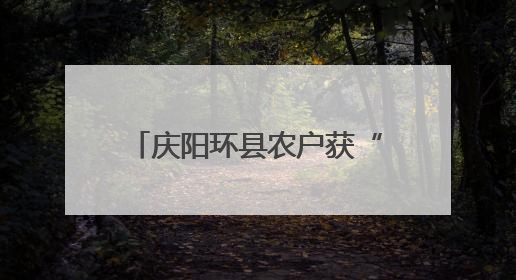 庆阳环县农户获“金融礼包” 普惠贷款助力产业升级