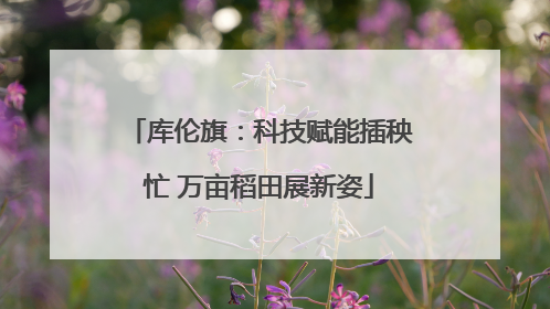 库伦旗：科技赋能插秧忙 万亩稻田展新姿
