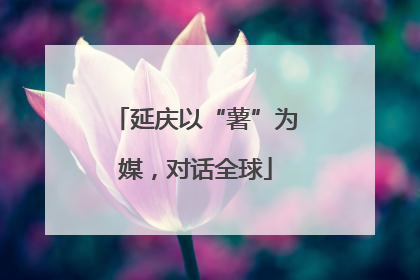 延庆以“薯”为媒，对话全球