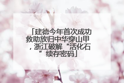 建德今年首次成功救助放归中华穿山甲，浙江破解“活化石”续存密码