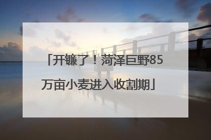 开镰了！菏泽巨野85万亩小麦进入收割期