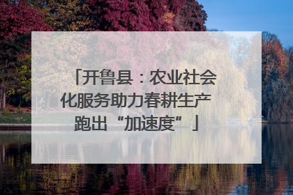 开鲁县：农业社会化服务助力春耕生产跑出“加速度”