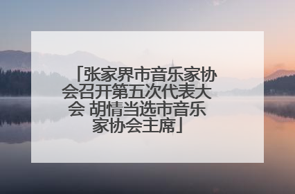 张家界市音乐家协会召开第五次代表大会 胡情当选市音乐家协会主席
