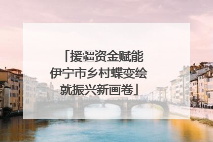 援疆资金赋能 伊宁市乡村蝶变绘就振兴新画卷