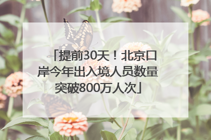 提前30天！北京口岸今年出入境人员数量突破800万人次