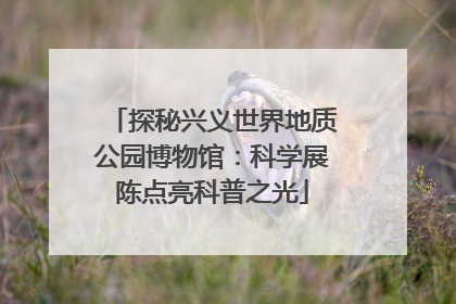 探秘兴义世界地质公园博物馆：科学展陈点亮科普之光