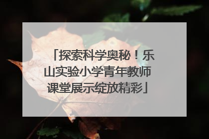 探索科学奥秘！乐山实验小学青年教师课堂展示绽放精彩