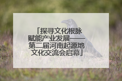 探寻文化根脉 赋能产业发展——第二届河南起源地文化交流会启幕