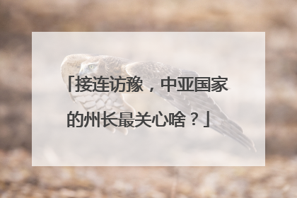 接连访豫，中亚国家的州长最关心啥？