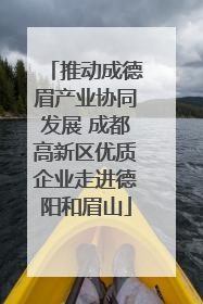 推动成德眉产业协同发展 成都高新区优质企业走进德阳和眉山