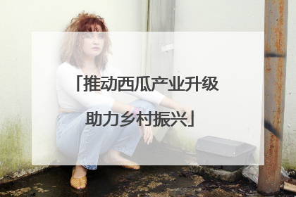 推动西瓜产业升级 助力乡村振兴