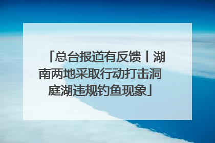 总台报道有反馈丨湖南两地采取行动打击洞庭湖违规钓鱼现象