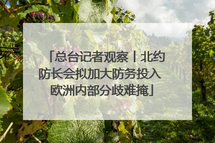 总台记者观察丨北约防长会拟加大防务投入 欧洲内部分歧难掩