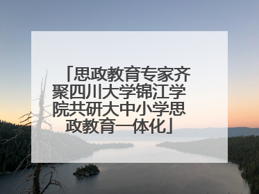 思政教育专家齐聚四川大学锦江学院共研大中小学思政教育一体化