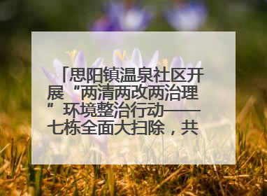 思阳镇温泉社区开展“两清两改两治理”环境整治行动——七栋全面大扫除，共建洁净家园