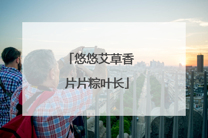 悠悠艾草香 片片粽叶长