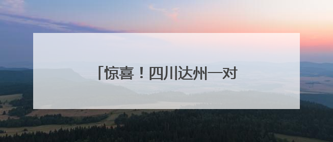 惊喜！四川达州一对双胞胎姐妹高考同分