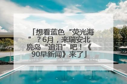 想看蓝色“荧光海”？6月，来瑞安北麂岛“追泪”吧！《90早新闻》来了
