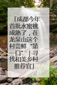 成都今年首批水蜜桃成熟了，在龙泉山这个村尝鲜“第一口”｜寻找和美乡村推荐官