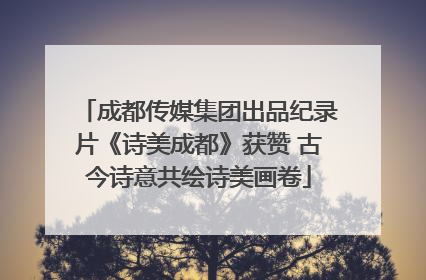 成都传媒集团出品纪录片《诗美成都》获赞 古今诗意共绘诗美画卷