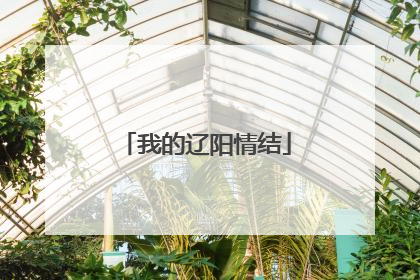 我的辽阳情结