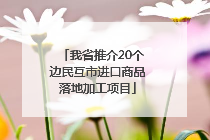 我省推介20个边民互市进口商品落地加工项目