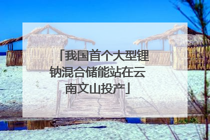 我国首个大型锂钠混合储能站在云南文山投产