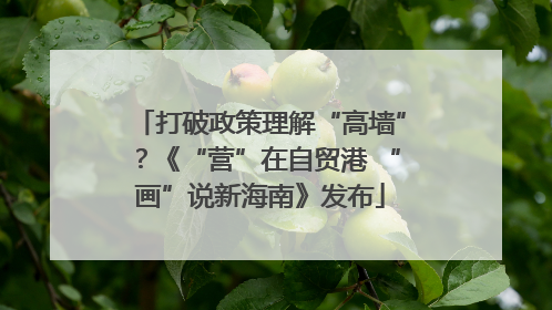 打破政策理解“高墙”？《“营”在自贸港 “画”说新海南》发布