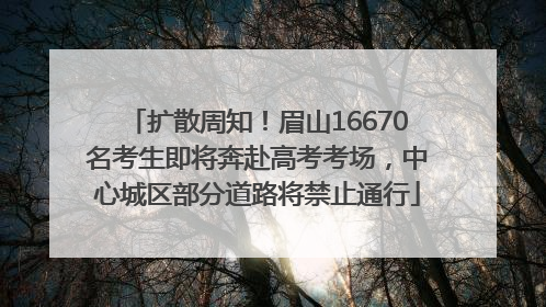 扩散周知！眉山16670名考生即将奔赴高考考场，中心城区部分道路将禁止通行