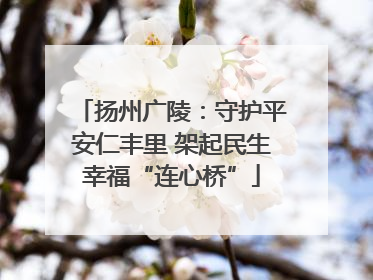 扬州广陵：守护平安仁丰里 架起民生幸福“连心桥”