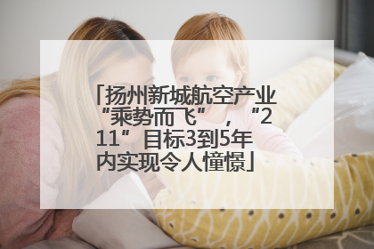 扬州新城航空产业“乘势而飞”，“211”目标3到5年内实现令人憧憬