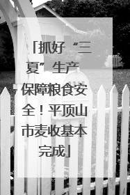 抓好“三夏”生产 保障粮食安全！平顶山市麦收基本完成