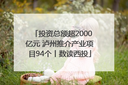 投资总额超2000亿元 泸州推介产业项目94个丨数读西投