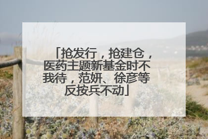 抢发行，抢建仓，医药主题新基金时不我待，范妍、徐彦等反按兵不动