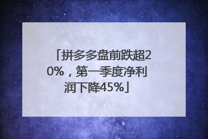 拼多多盘前跌超20%，第一季度净利润下降45%