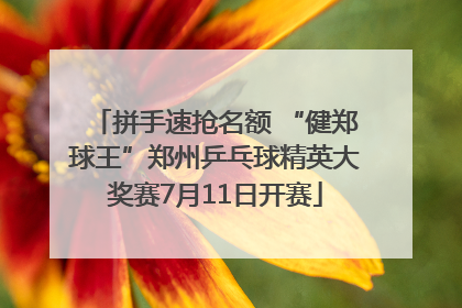 拼手速抢名额 “健郑球王”郑州乒乓球精英大奖赛7月11日开赛