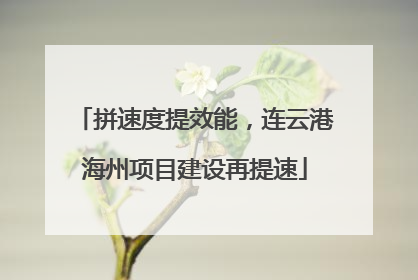 拼速度提效能，连云港海州项目建设再提速