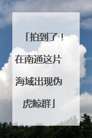 拍到了！在南通这片海域出现伪虎鲸群