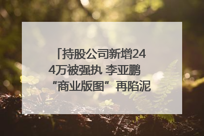 持股公司新增244万被强执 李亚鹏“商业版图”再陷泥潭？｜科技观察
