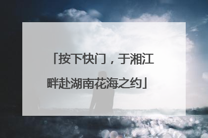 按下快门，于湘江畔赴湖南花海之约