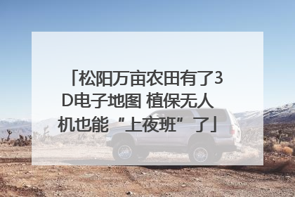 松阳万亩农田有了3D电子地图 植保无人机也能“上夜班”了