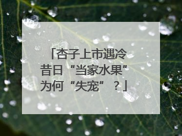 杏子上市遇冷 昔日“当家水果”为何“失宠”？