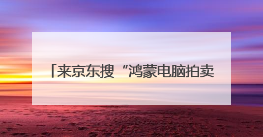 来京东搜“鸿蒙电脑拍卖” 有机会1元拍到HUAWEI MateBook Fold 非凡大师