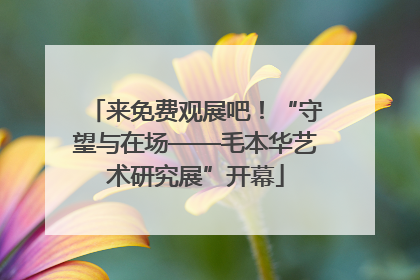 来免费观展吧！“守望与在场——毛本华艺术研究展”开幕