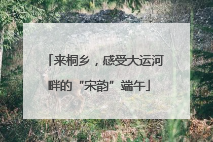 来桐乡，感受大运河畔的“宋韵”端午